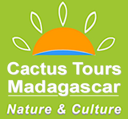 Cactus Tours Madagascar